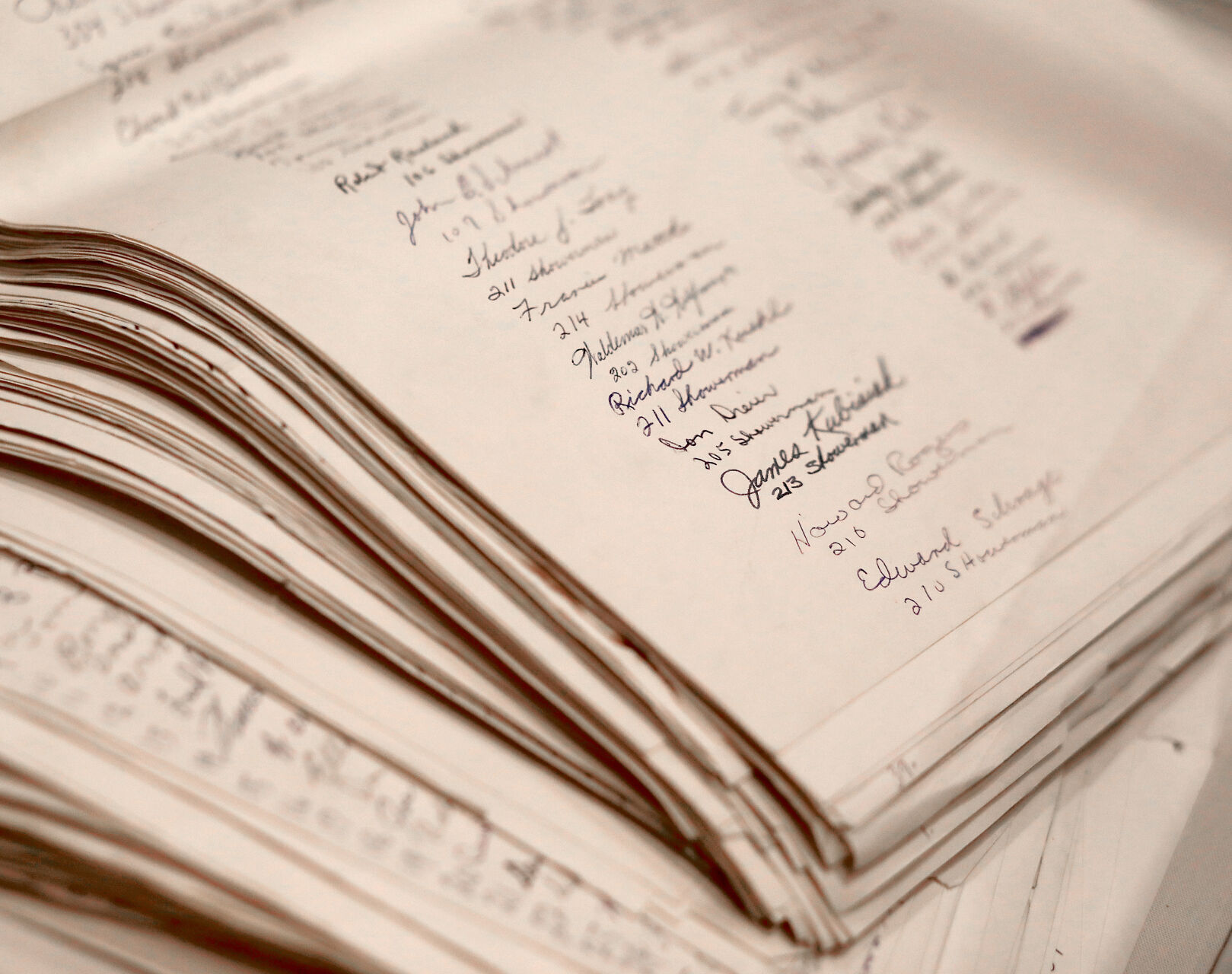 Stack of petitions